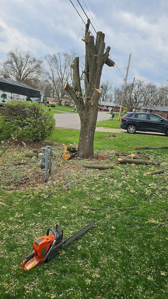 Gene's Tree and Landscaping LLC