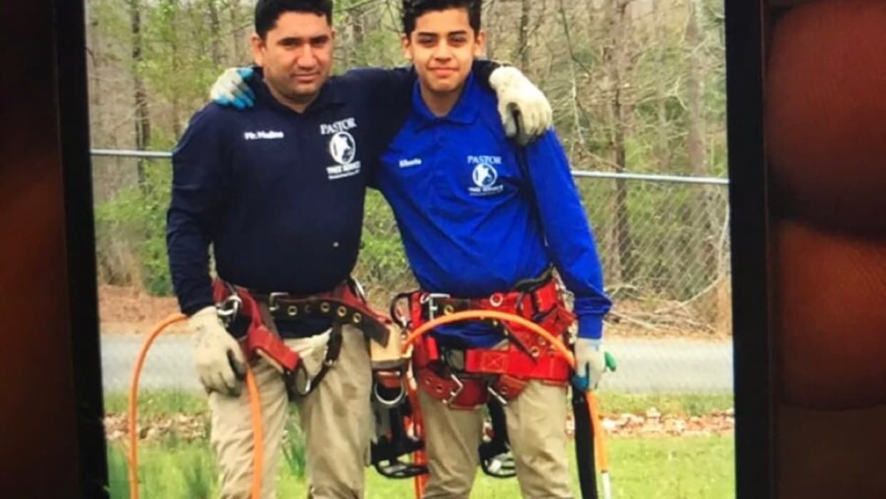 Pastor Tree Services