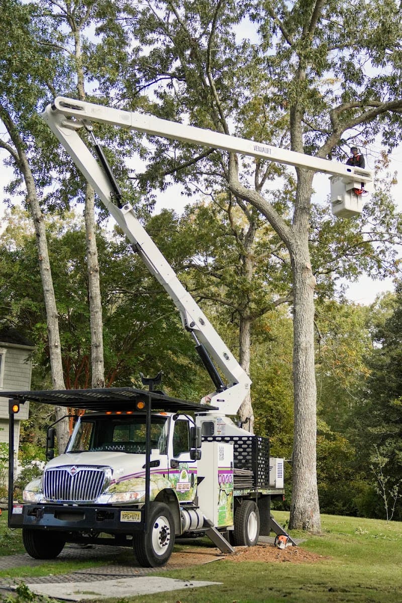 Captain's Tree Service LLC