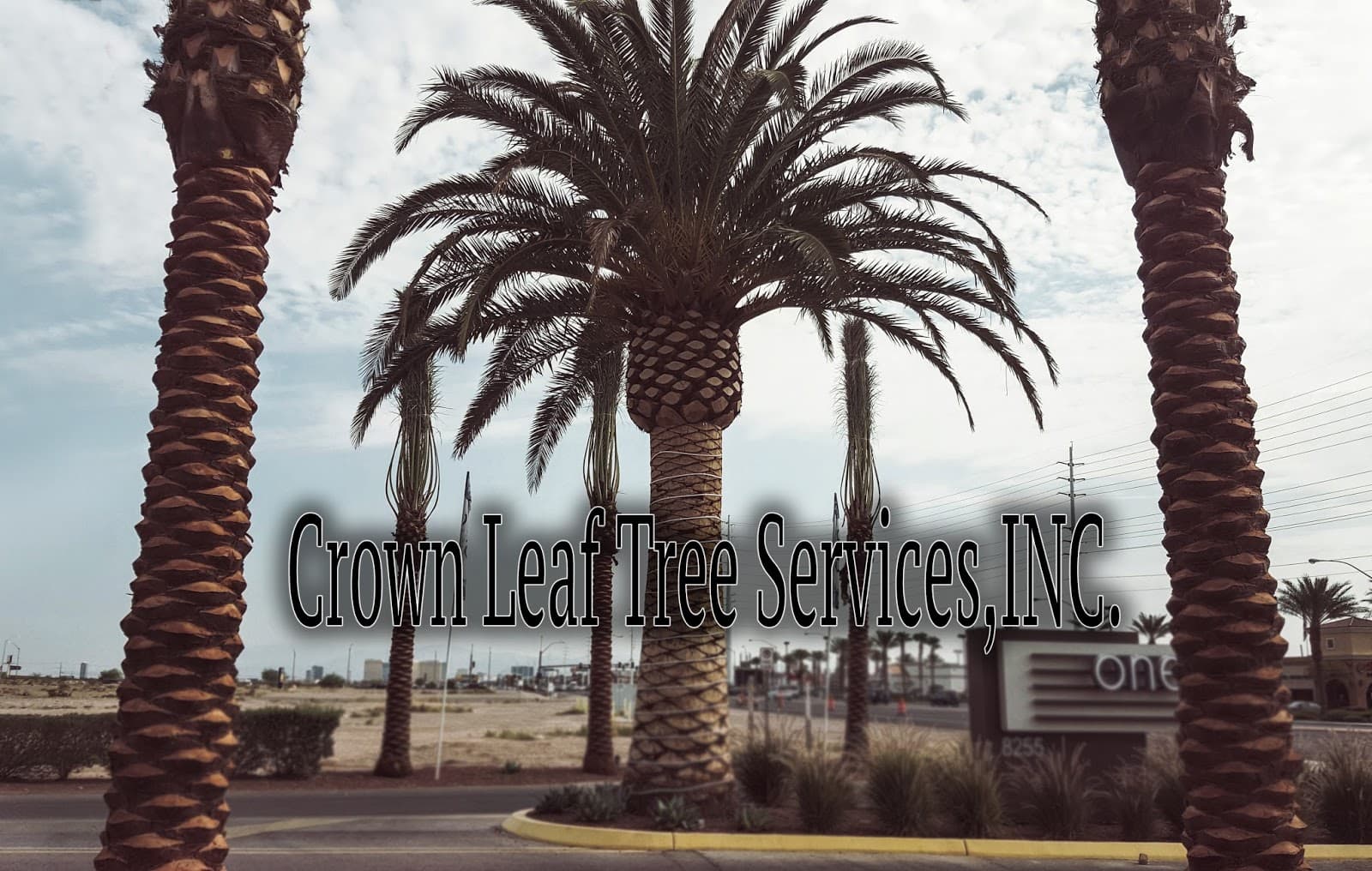Crown Leaf Tree Services, Inc.
