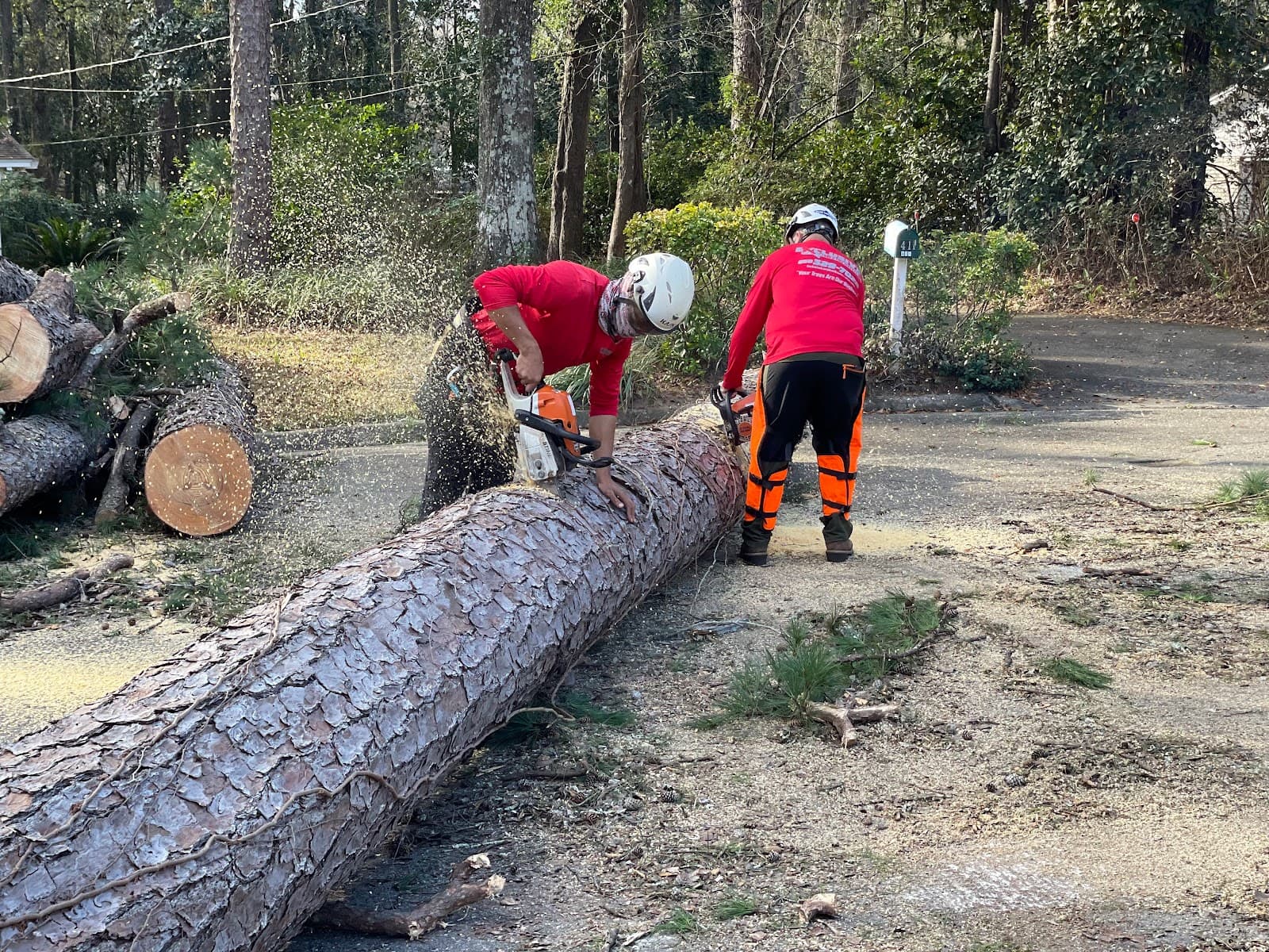 Exclusive Land and Tree Services