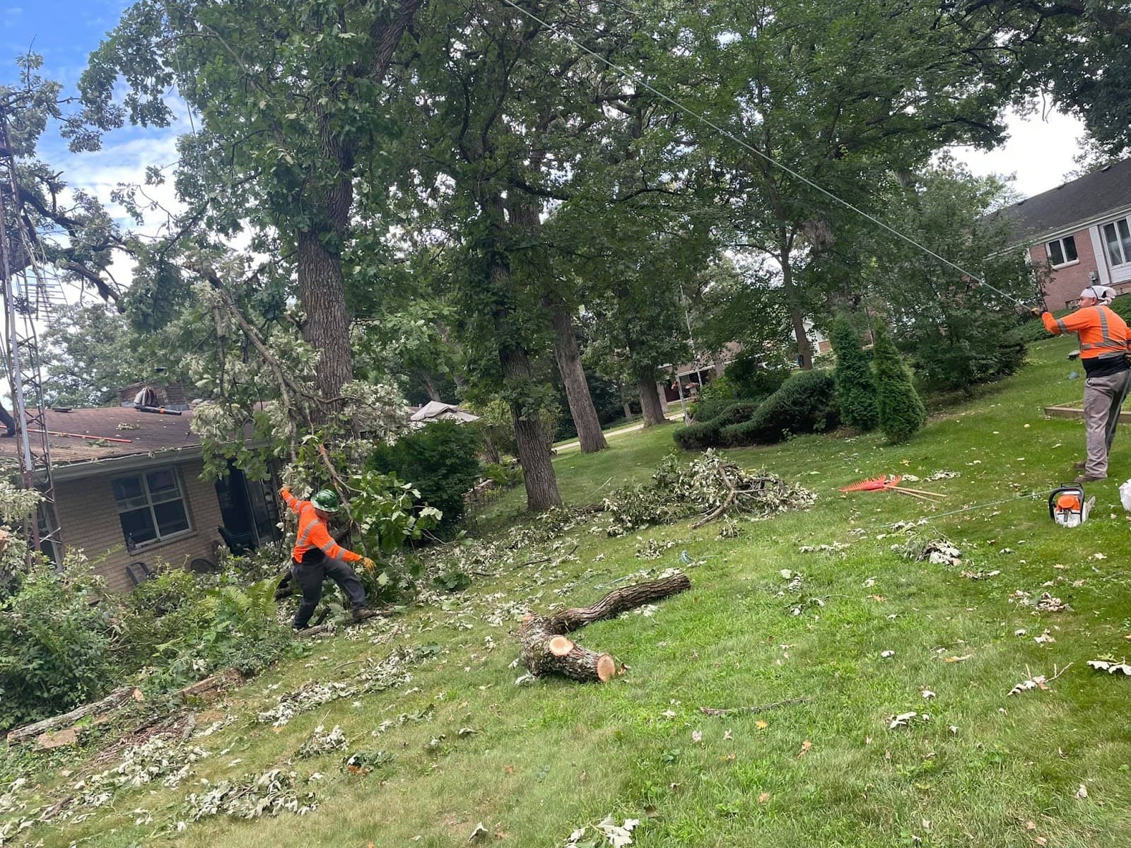 Ap Tree Service Experts, LLC