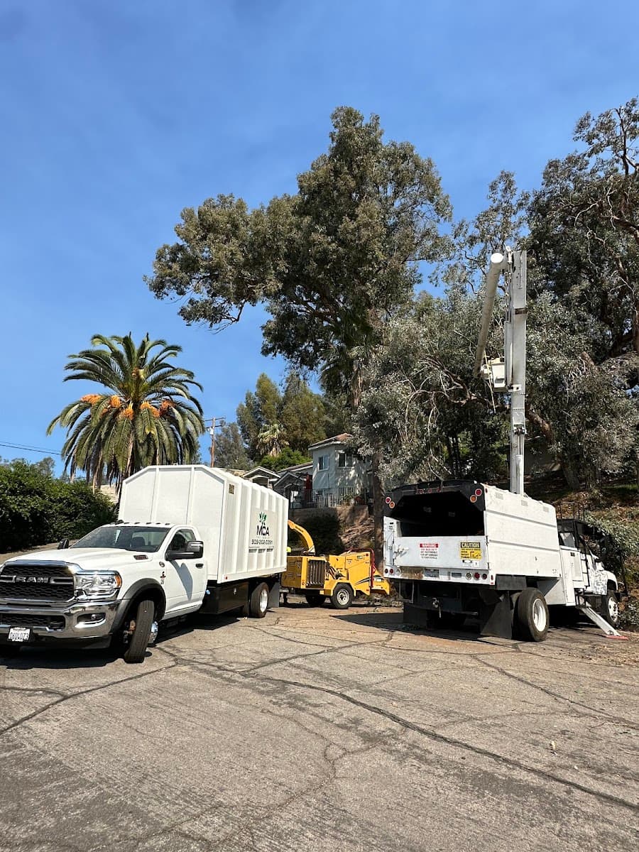 MCA Tree Service Inc