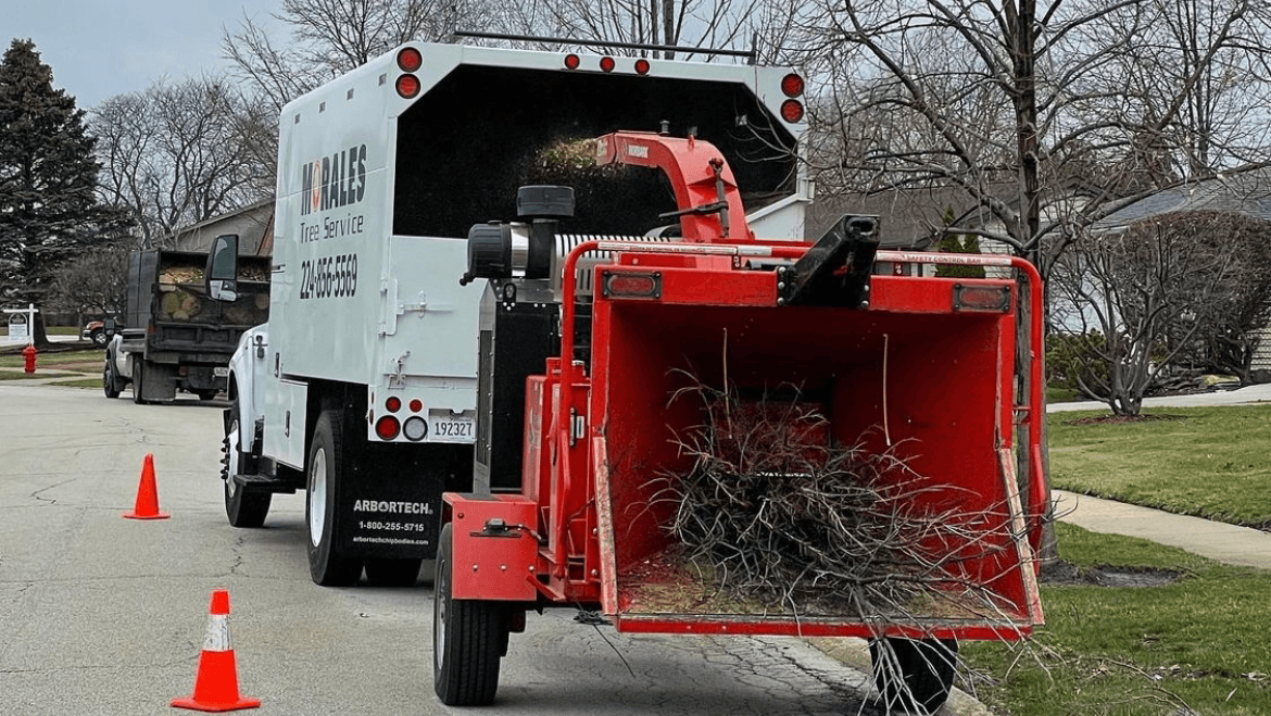 Morales Tree Service