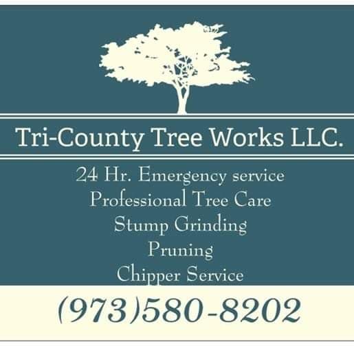 Tri-County Tree Works llc.