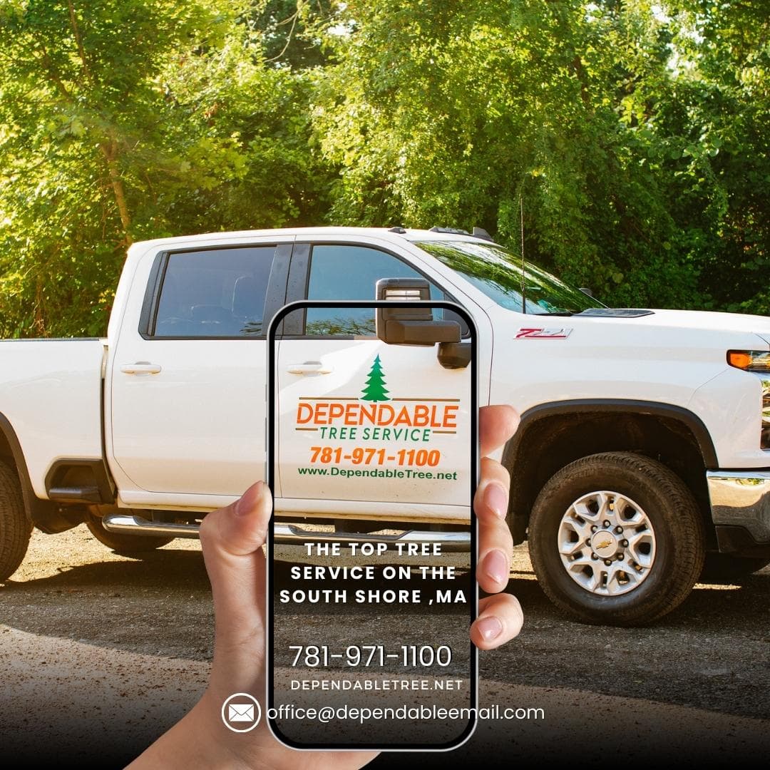 Dependable Tree Service