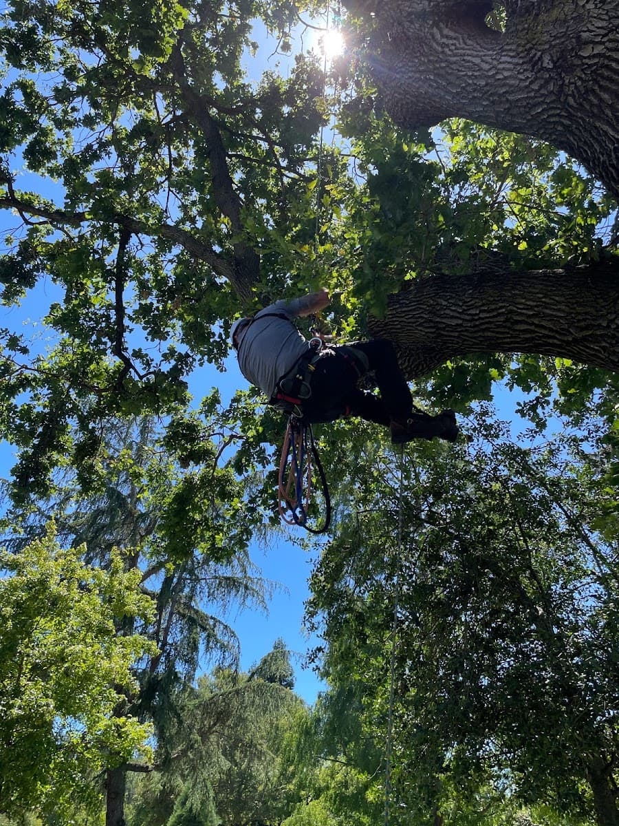1st Choice R & R Tree Service
