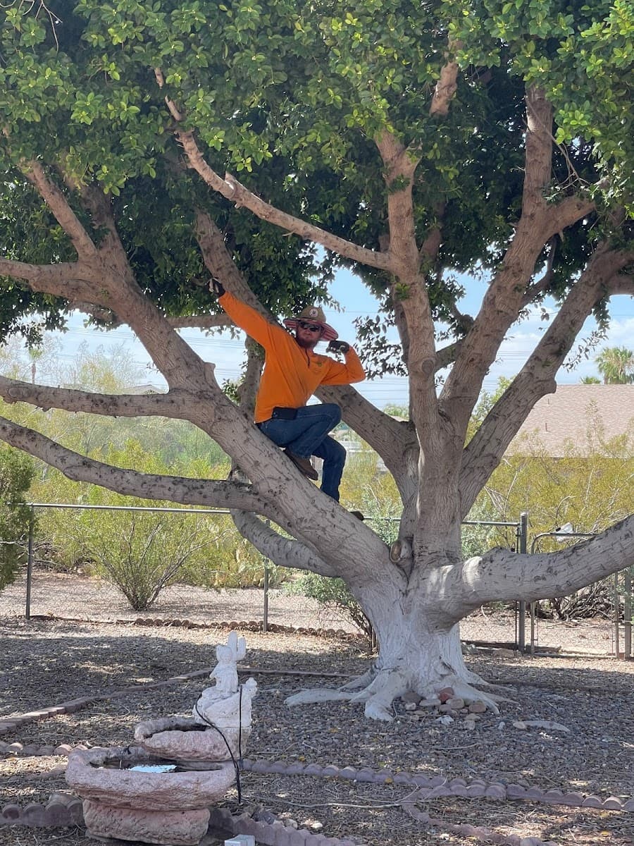 Family Tree Trimming LLC