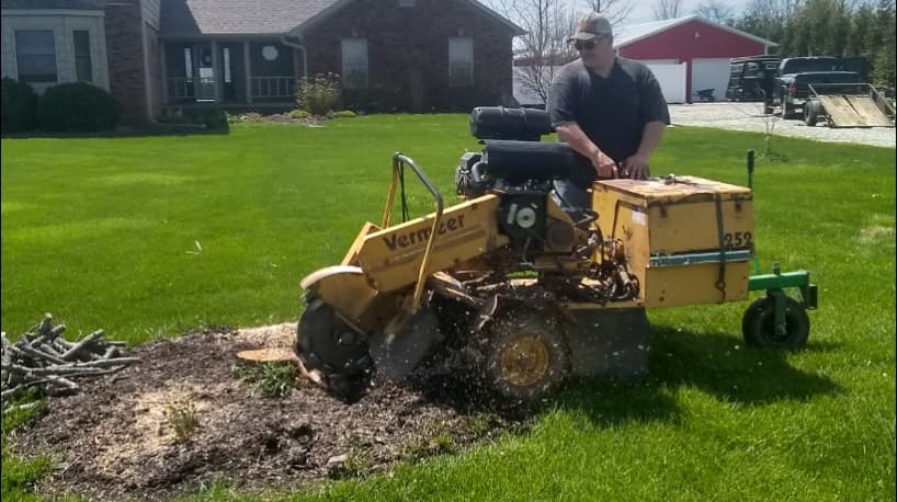 A Better Stump Grinding Service