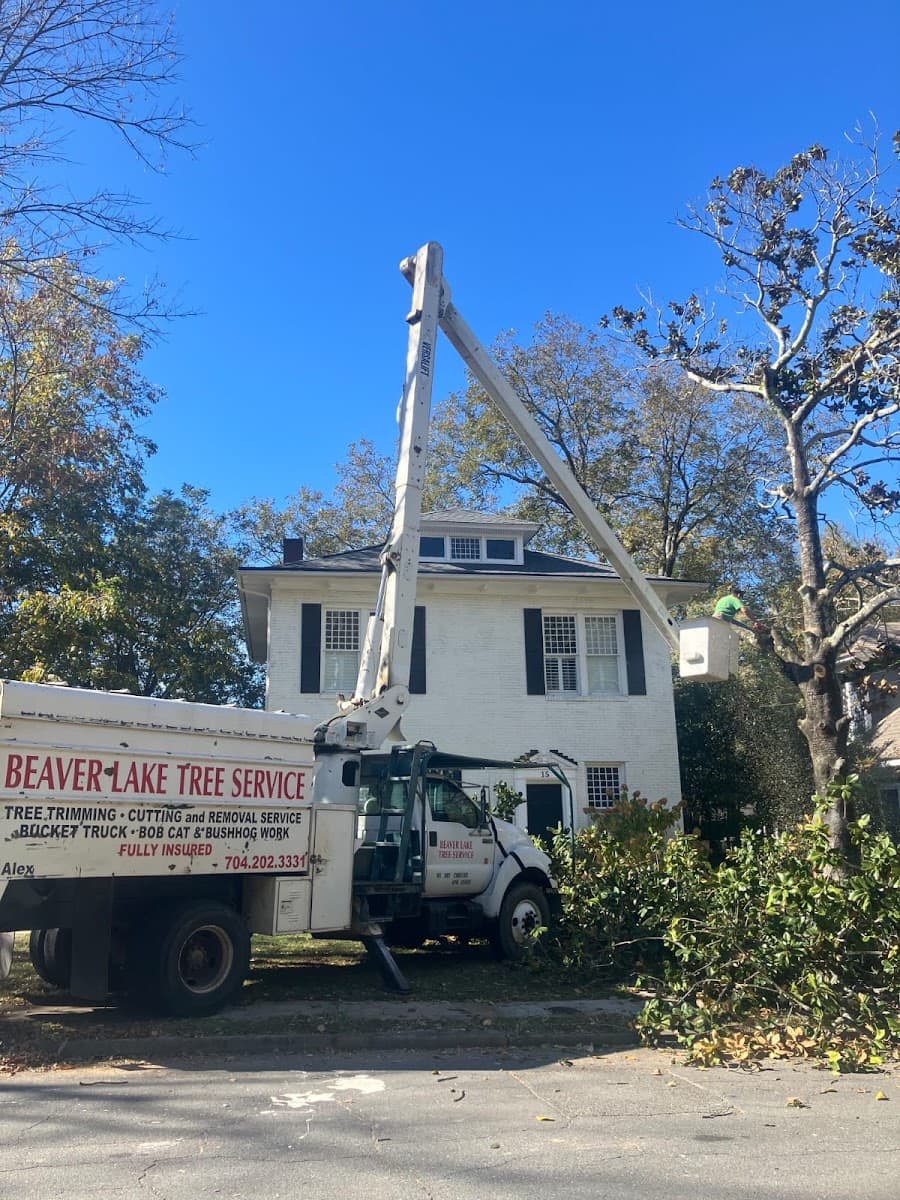 Beaver Lake Tree Service, Inc