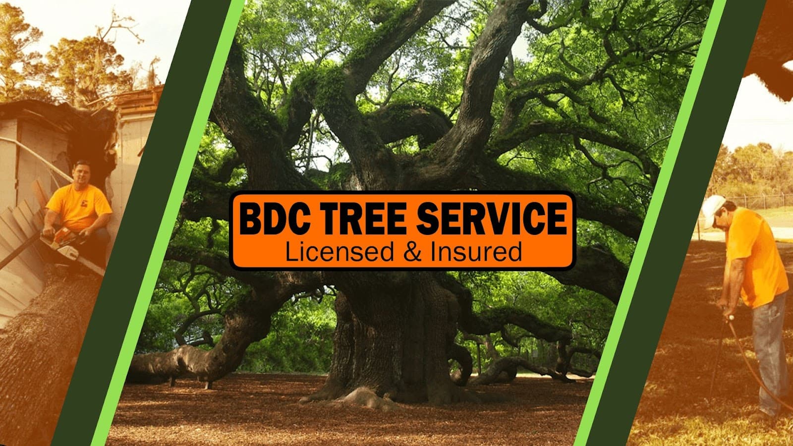 BDC Tree Service, LLC