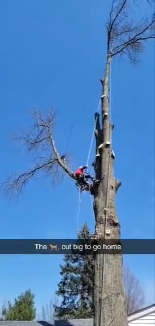 Tri-County Tree Service LLC