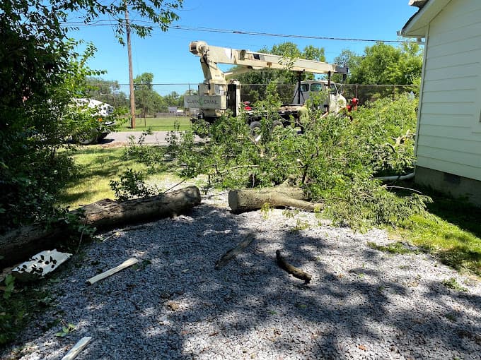 Moore & Smith Tree Care LLC