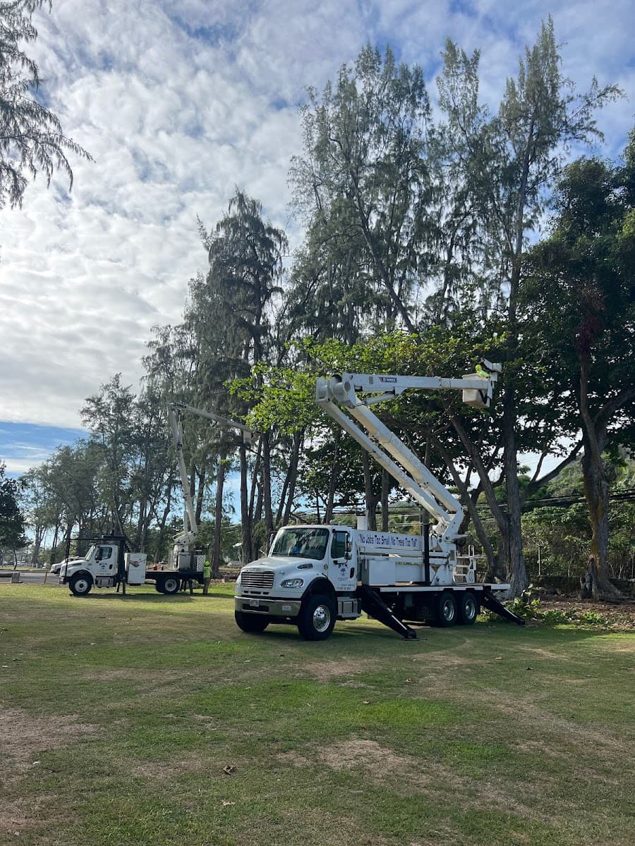 H.T.M. Contractors Inc