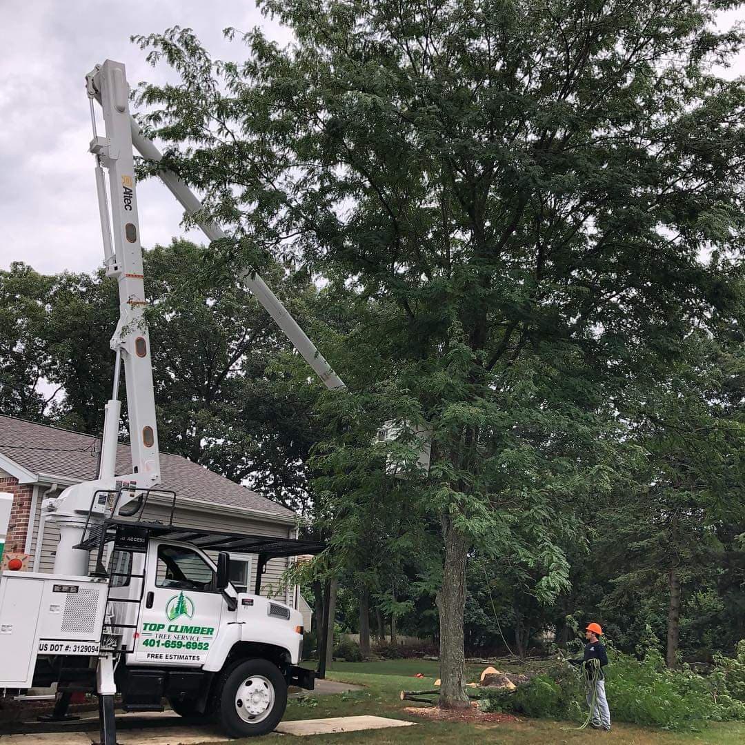 Top Climber Tree Service LLC