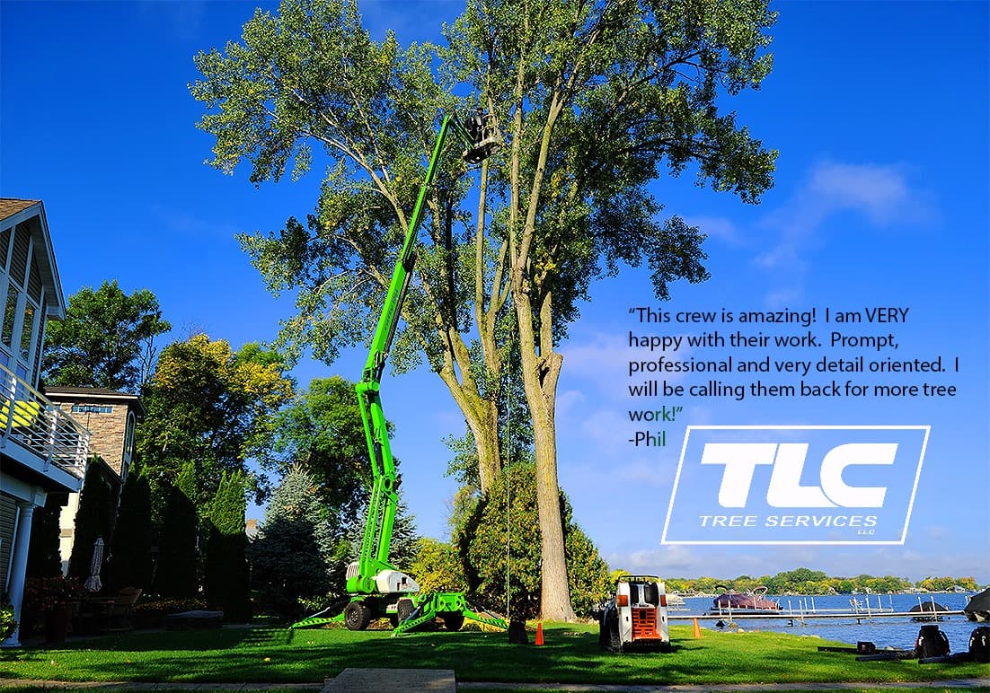 TLC Tree Service