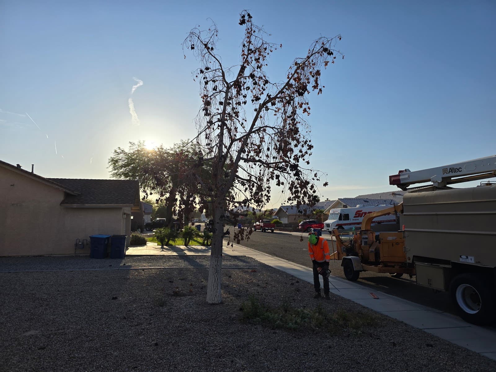 NextLevel Landscape and tree care