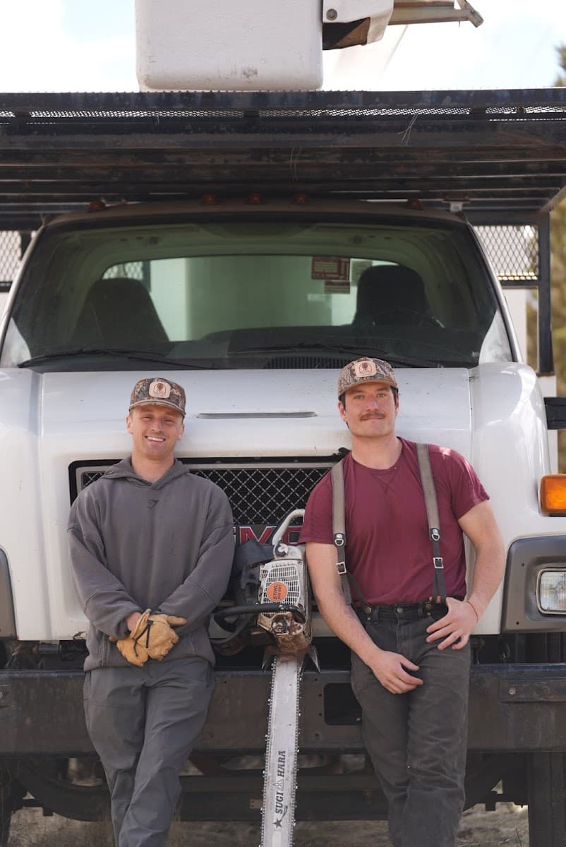 Desert Pine Arbor Care