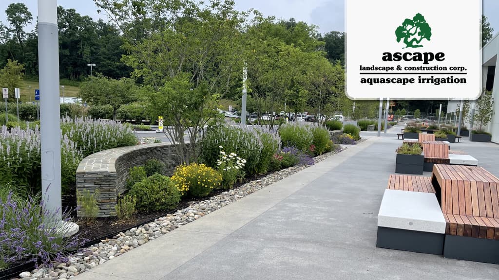 Ascape Landscape & Construction Corp.