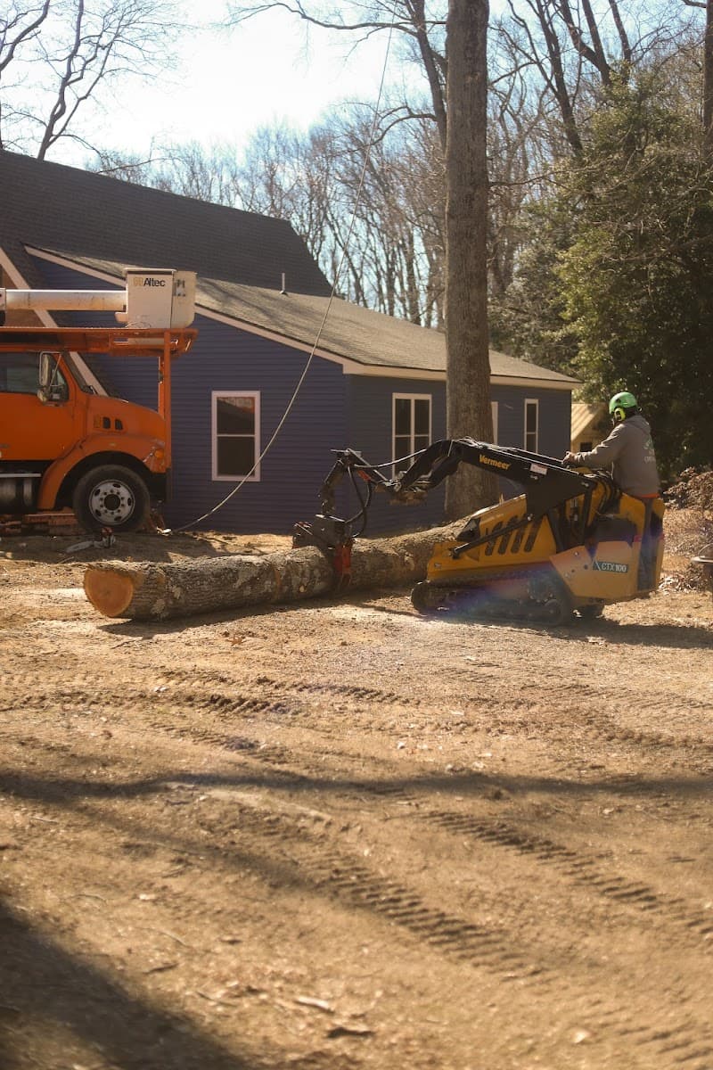 Crickets Tree Service LLC