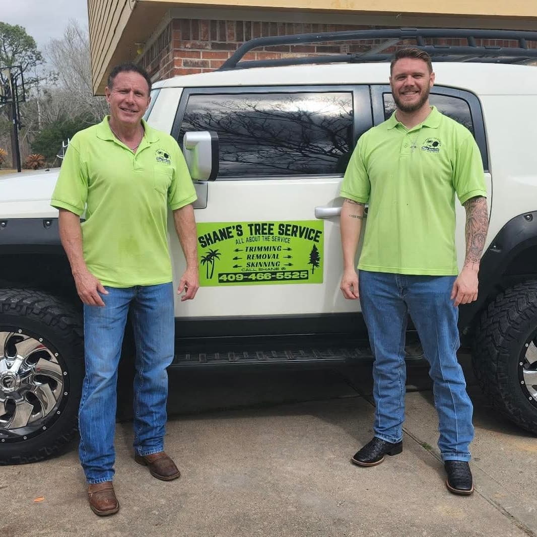 Shane's Tree Service