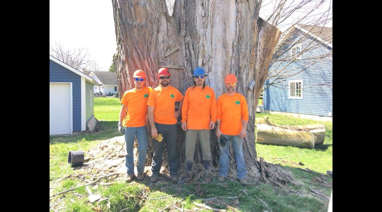 Wildcat Creek Tree Service