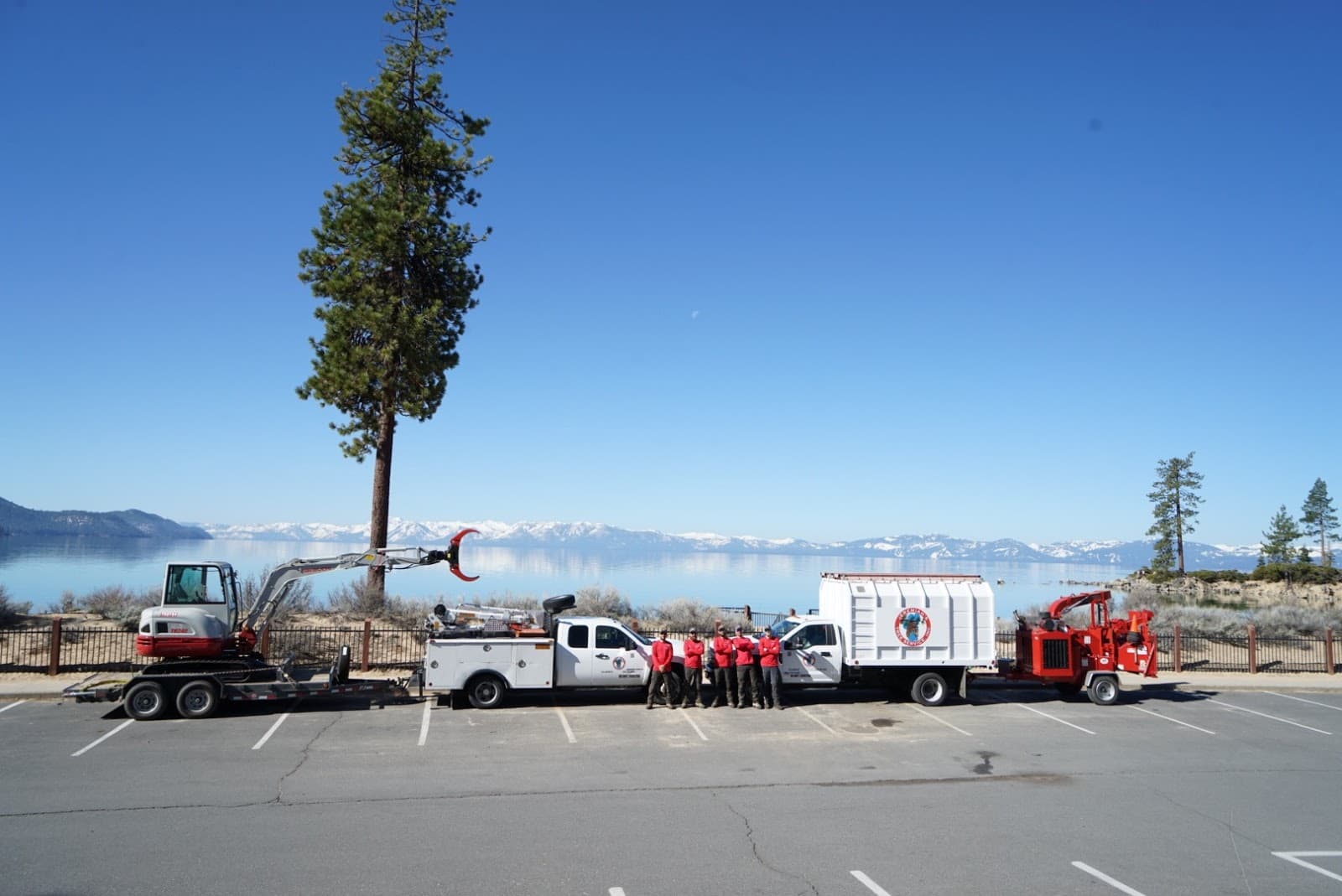 Jeremiah's Tree Service