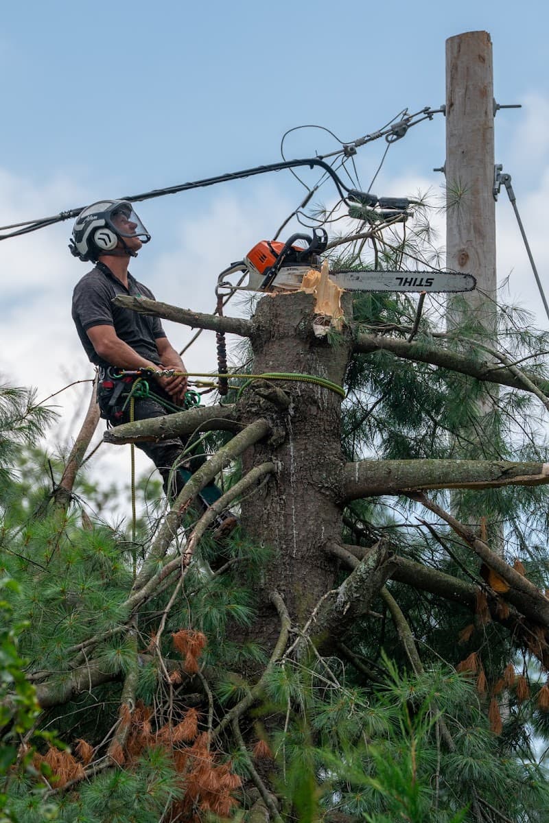 ATS Tree Services, LLC
