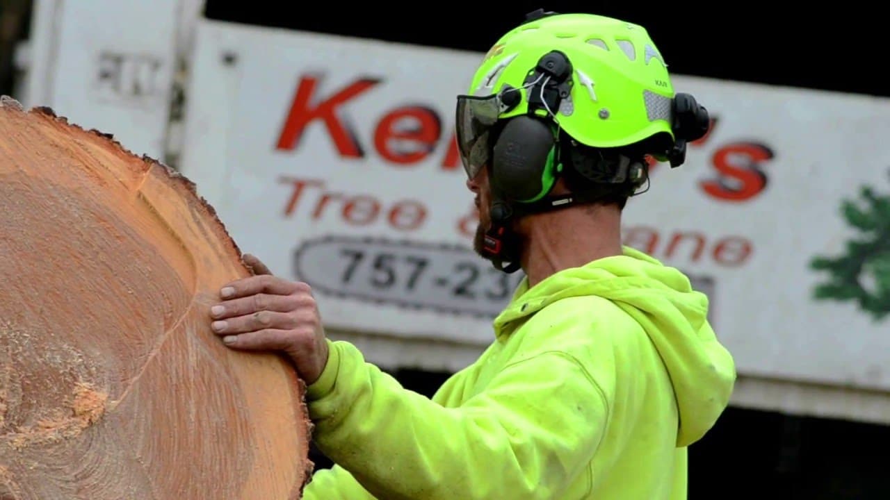 Kenny's Tree & Crane (KLJ Inc)