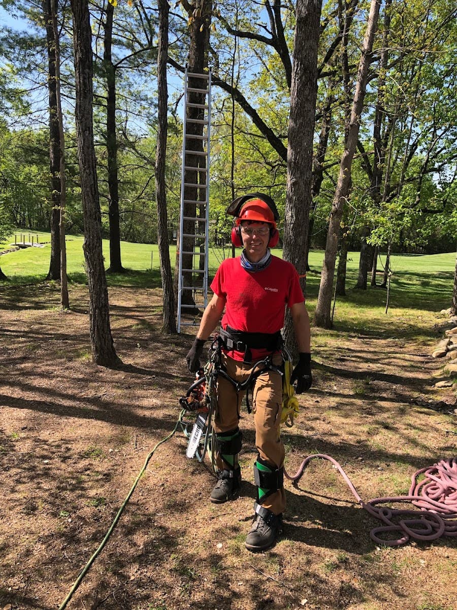 Brady's Tree Service