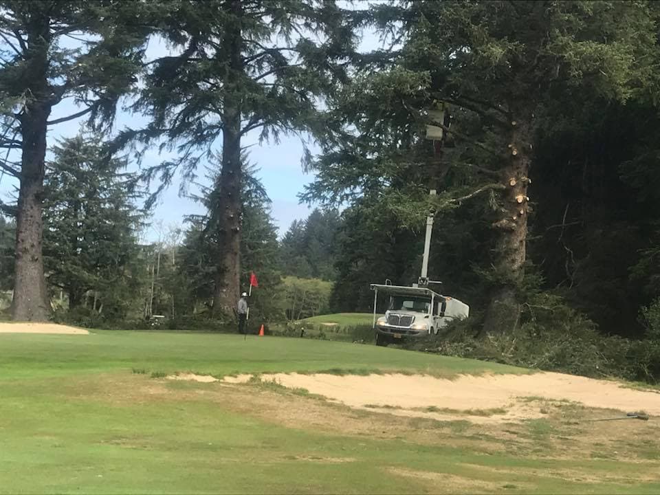 V-Kley's Tree Service LLC