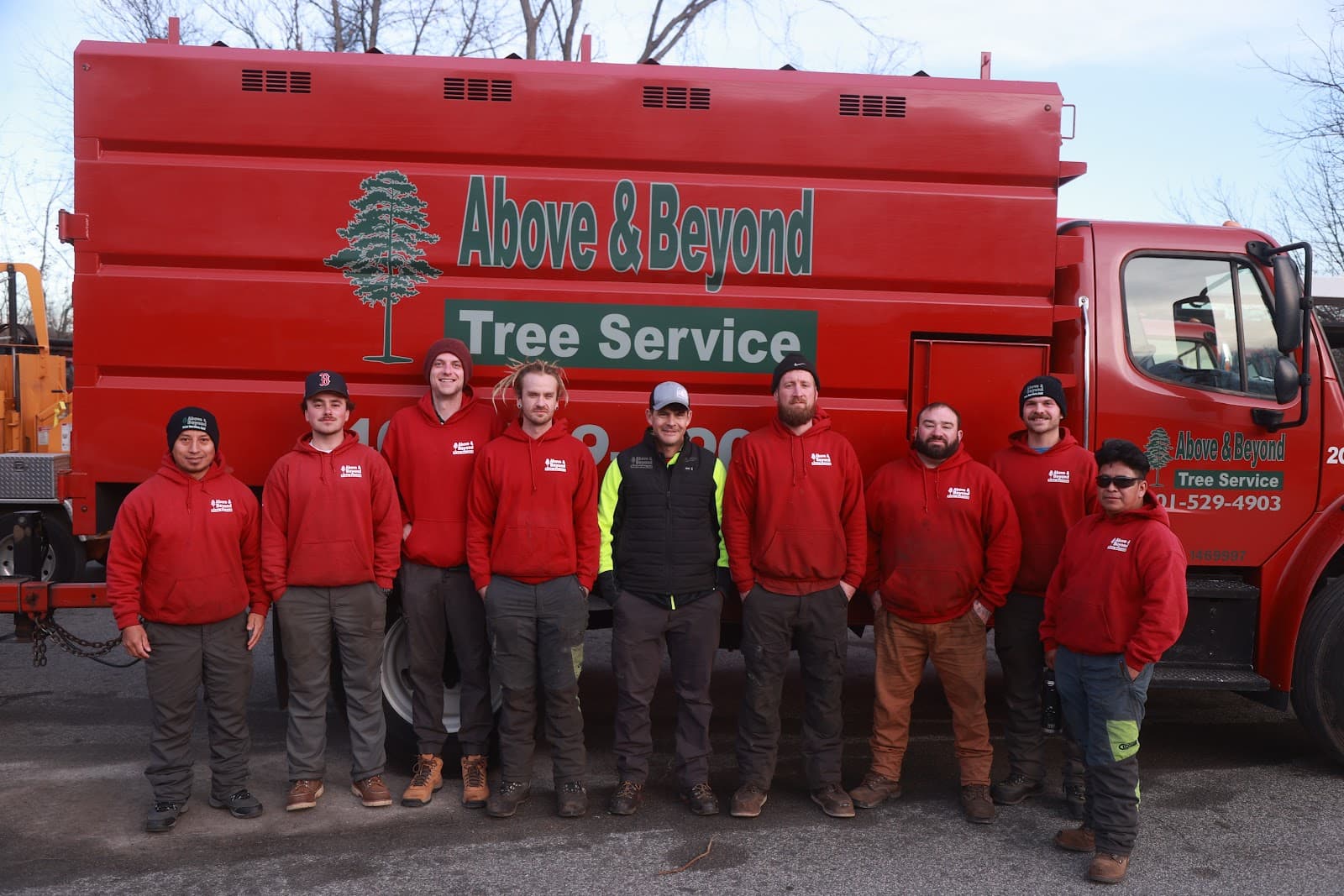 ABOVE & BEYOND - Tree Service, LLC