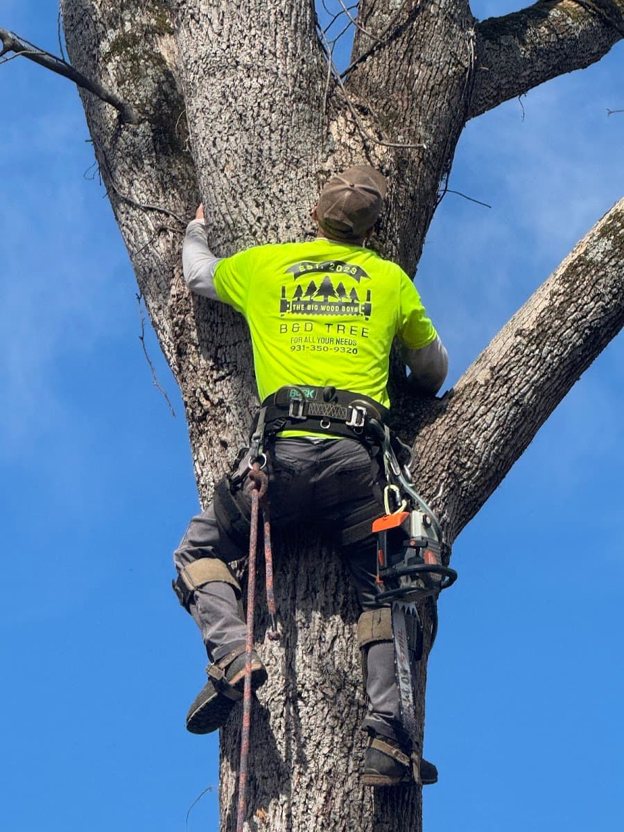 B&D Tree & Landscaping