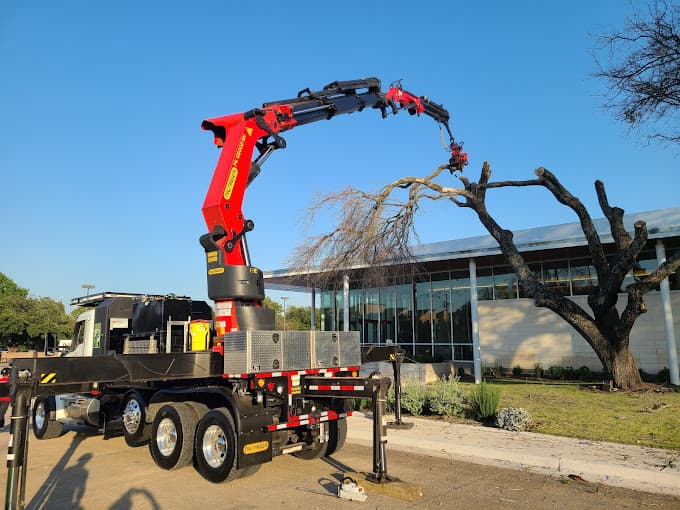 Texas Tree Transformations Irving