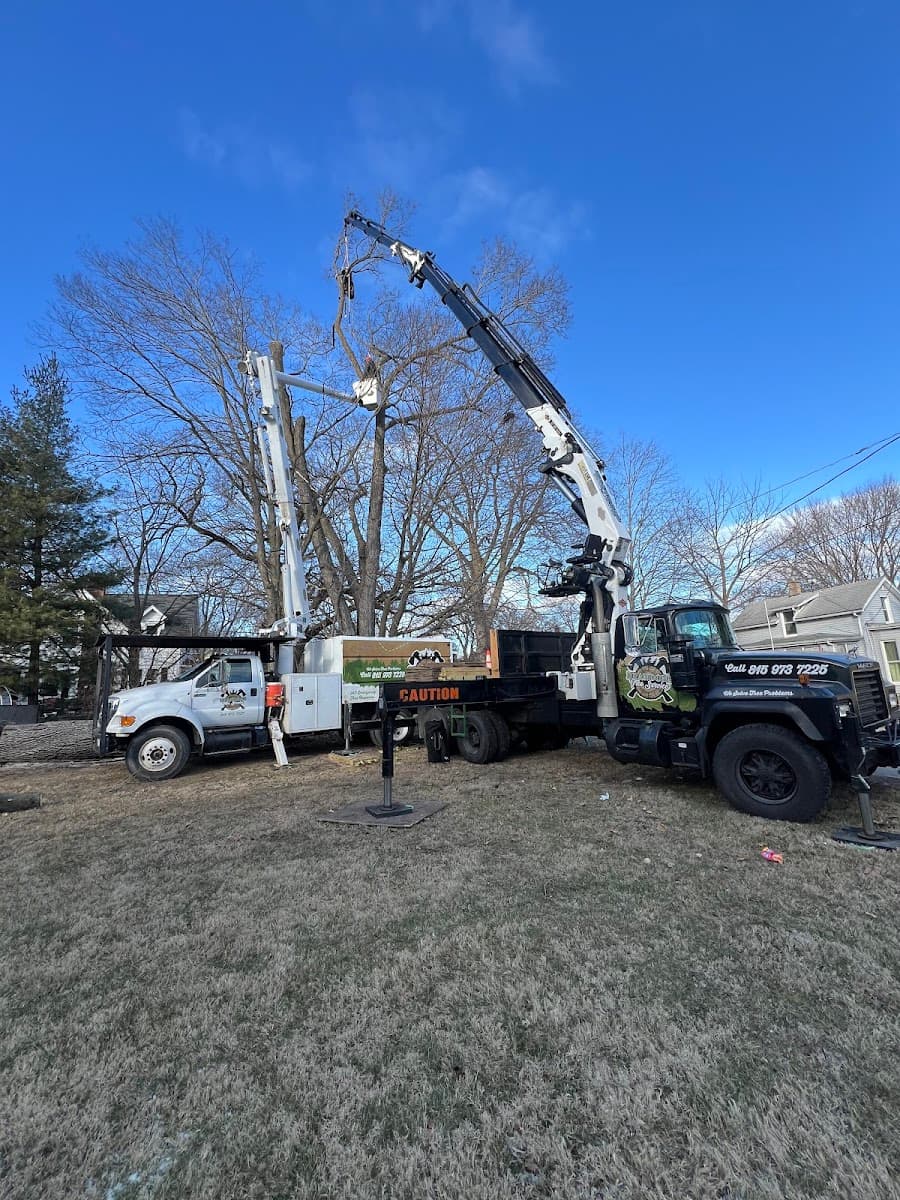 Brandon’s Tree Service