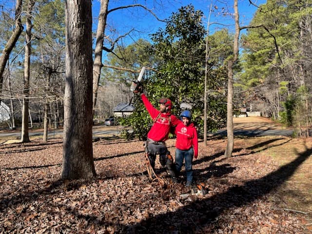 Lubbers & Sons Tree Care