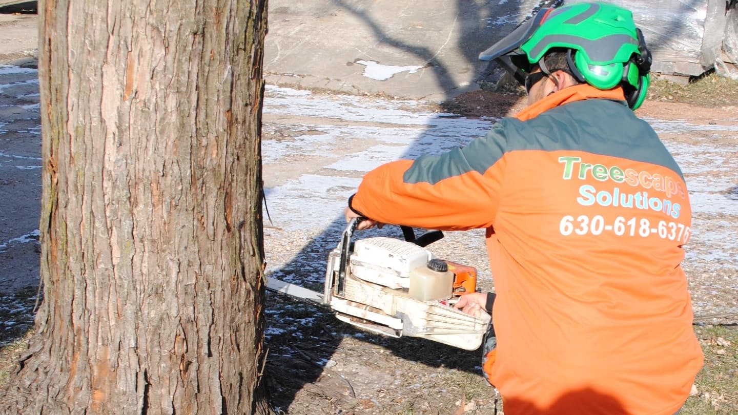 Treescape Solutions Inc