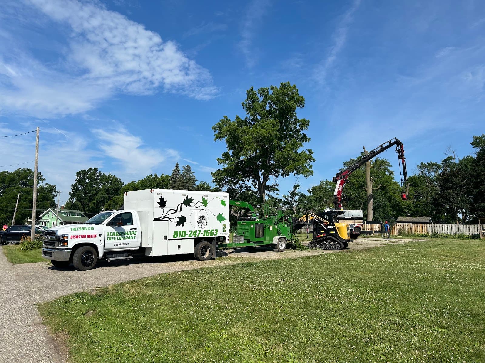 TerraShape Tree Company