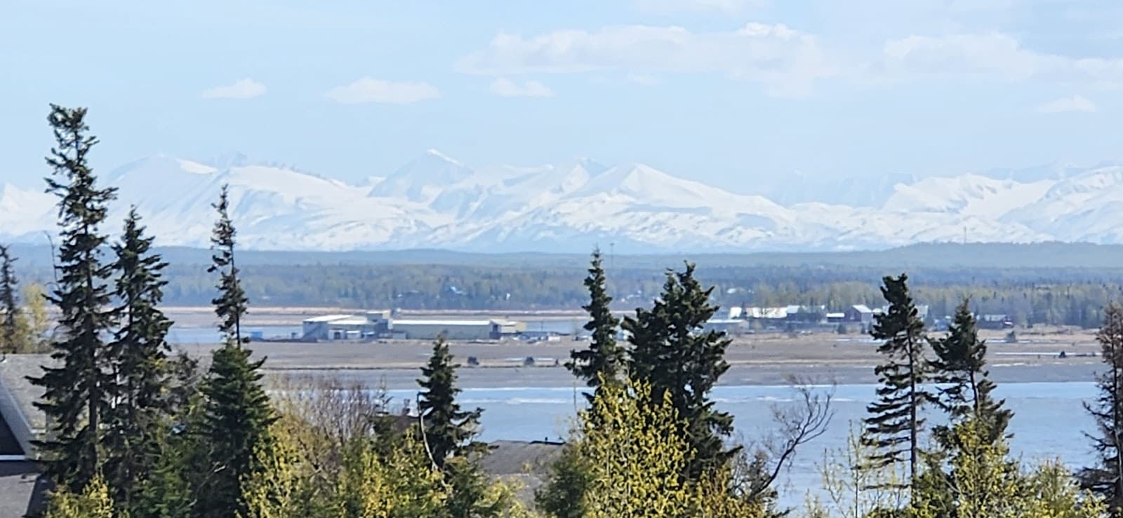 Henry Tree Service LLC