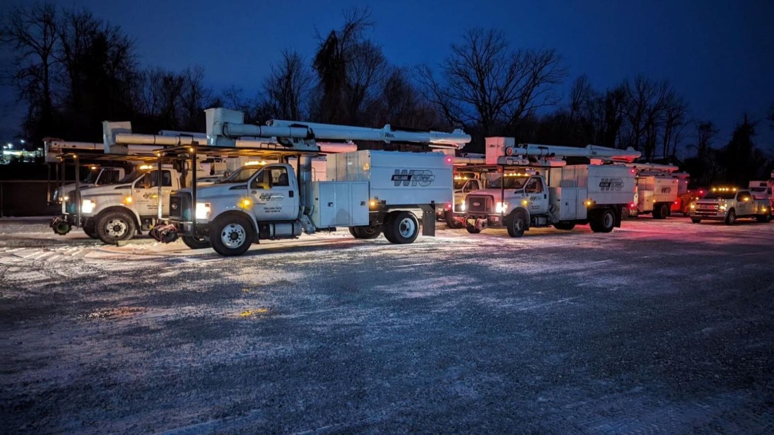 Williams Tree Company