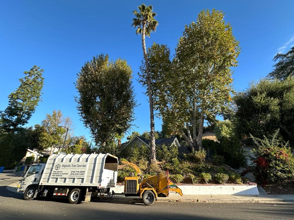 Majestic Tree Care Inc