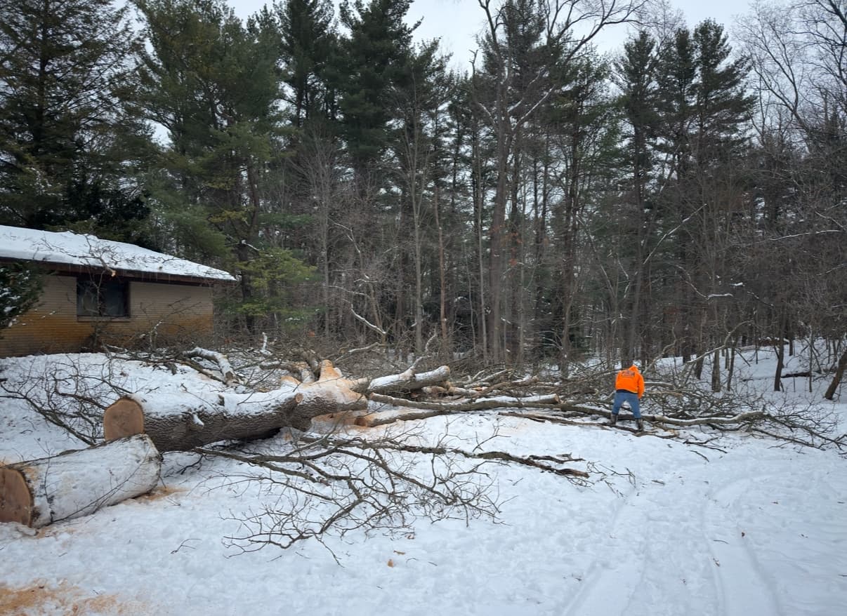LumberJax Tree Service