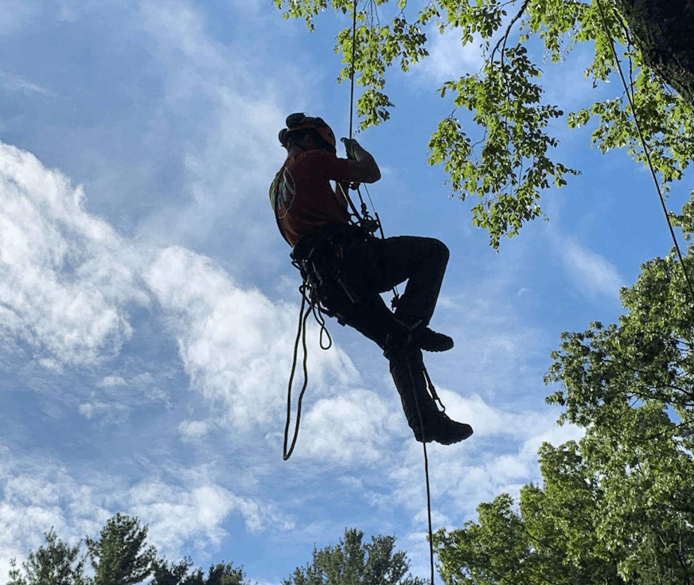 Harrison McPhee, Inc.