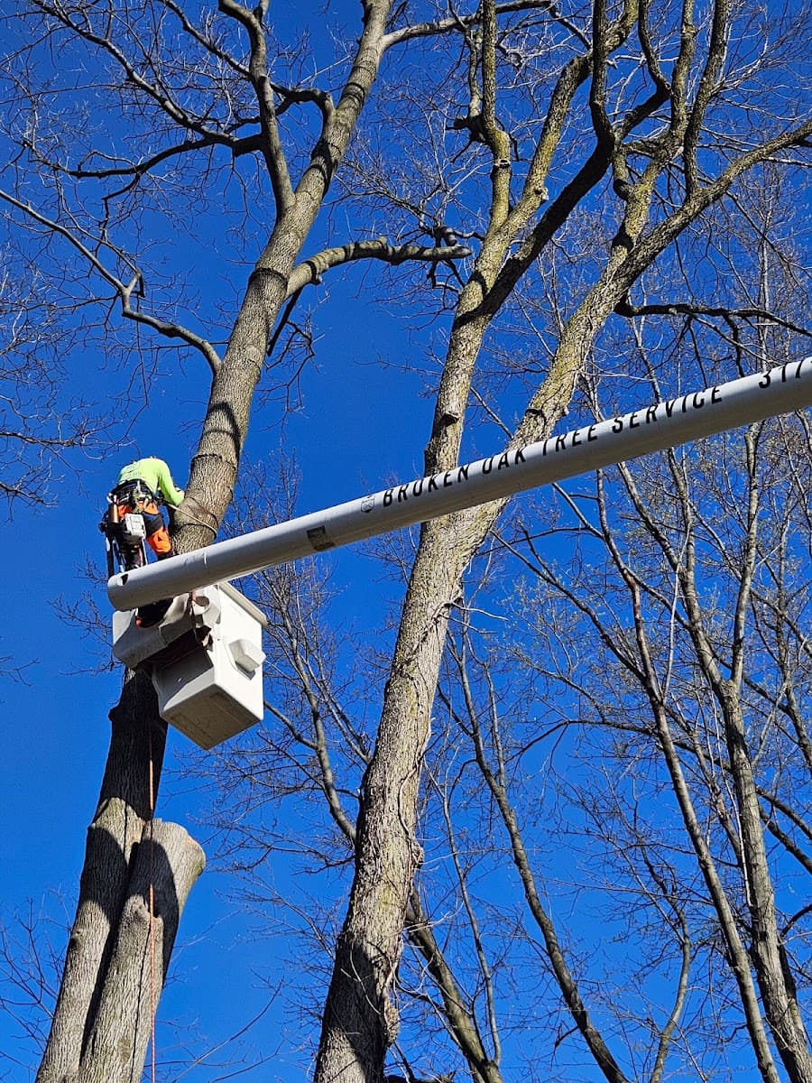 Broken Oak Tree Service LLC