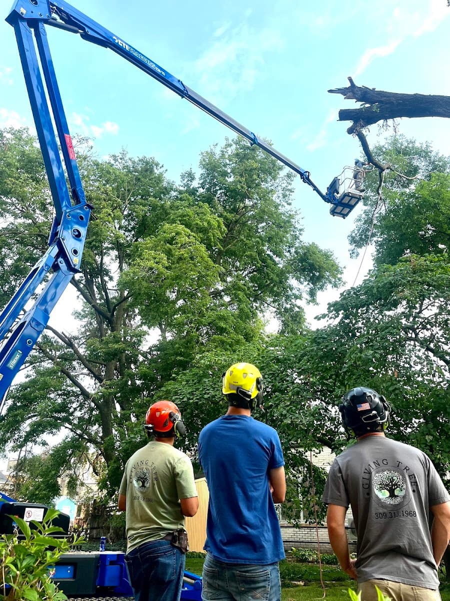 Giving Tree Land Development