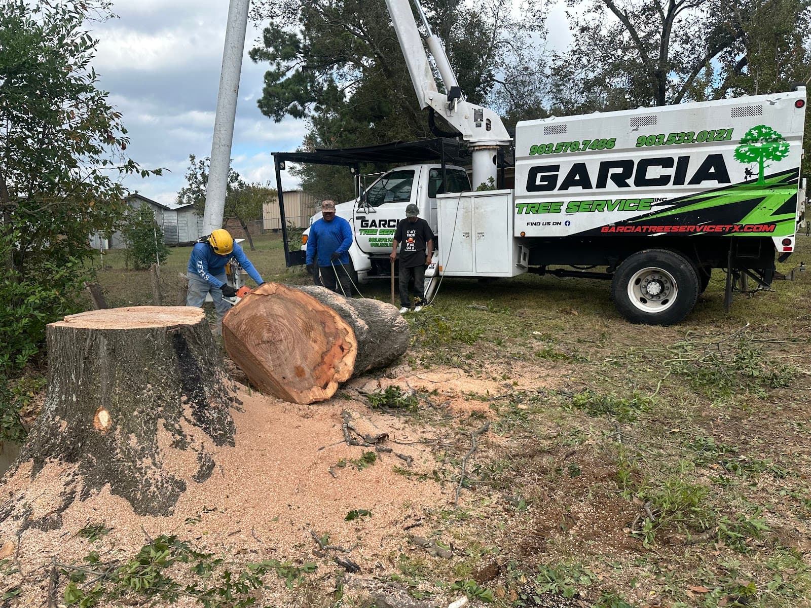 Garcia Tree Services