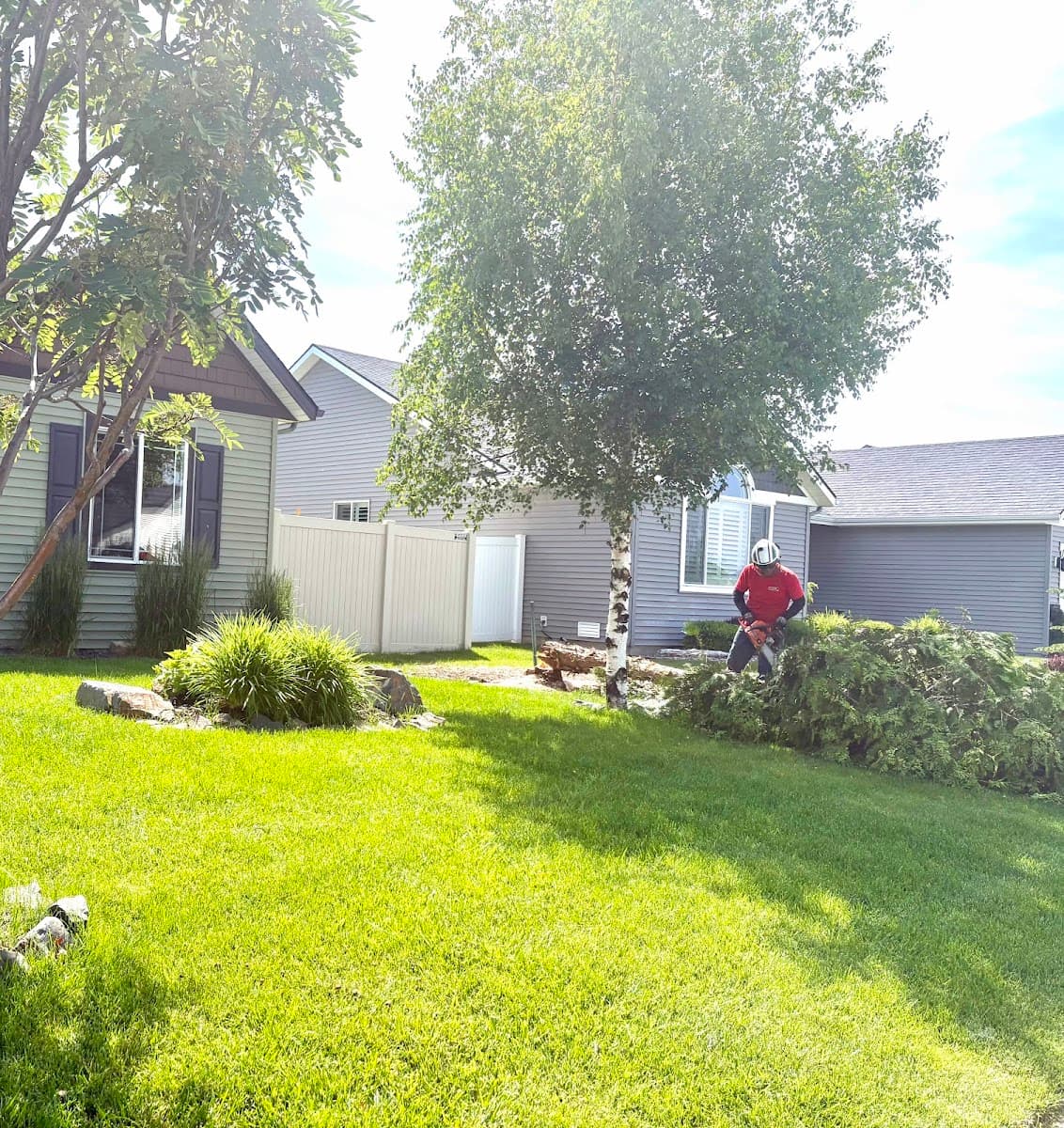 Austin's Tree Services