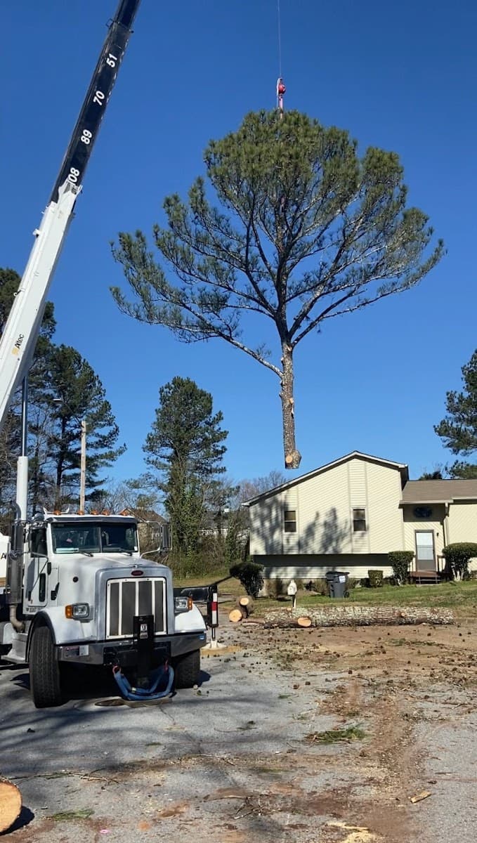 Life's Tree Doctor, LLC