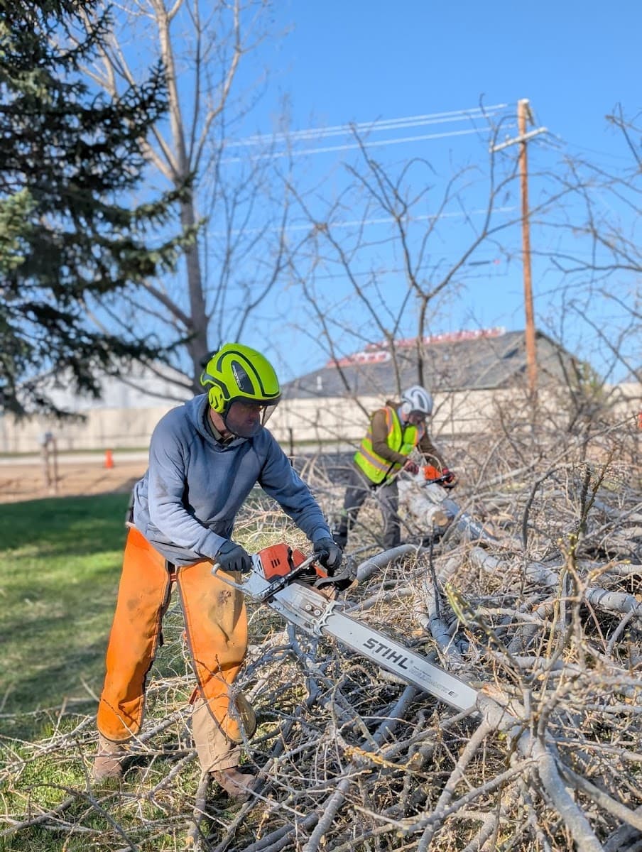 Heartwood Tree Care LLC