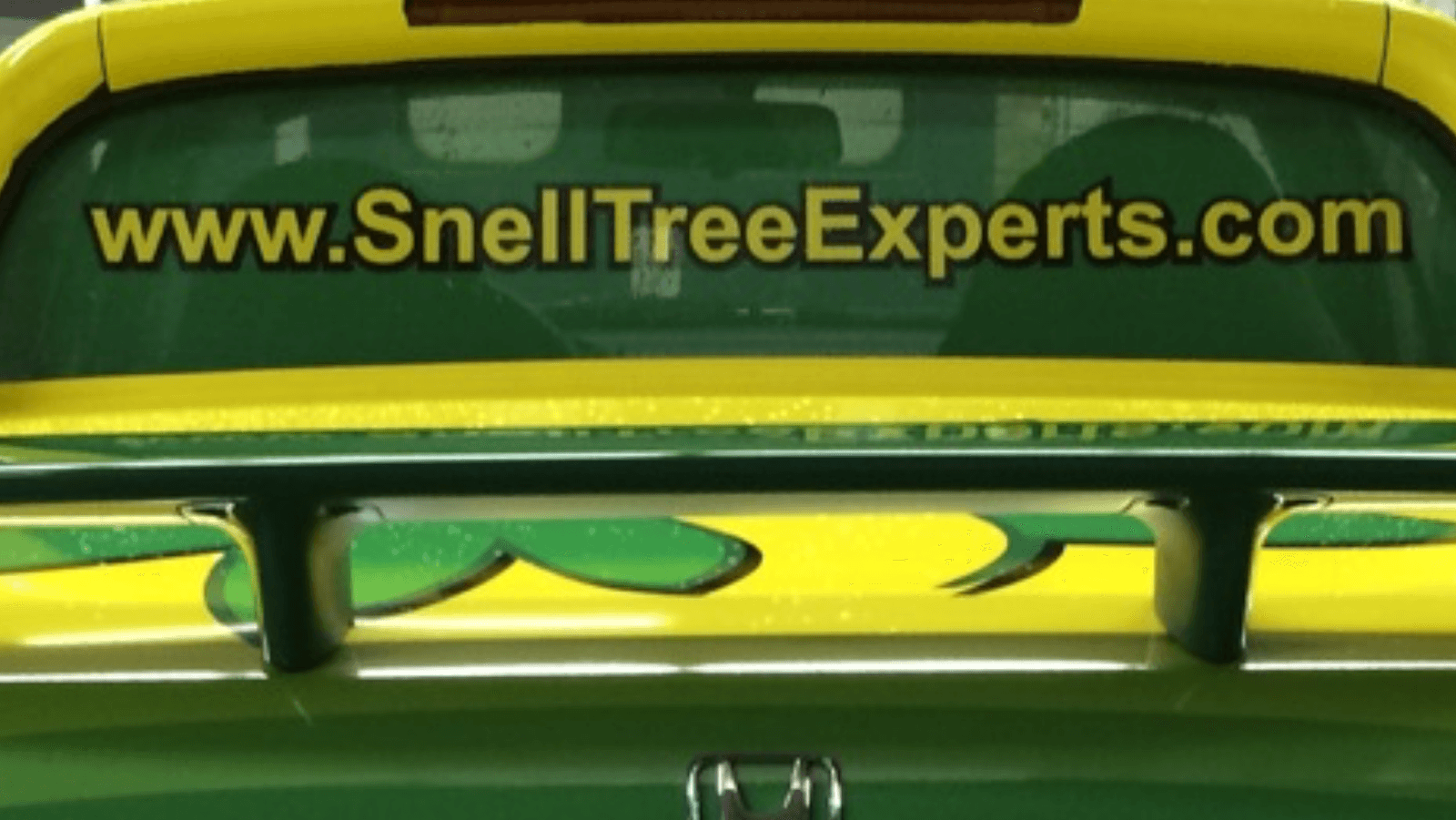 Snell Tree Experts LLC